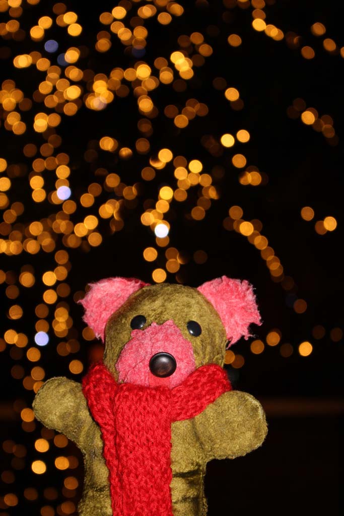  Decorations in the Old Town